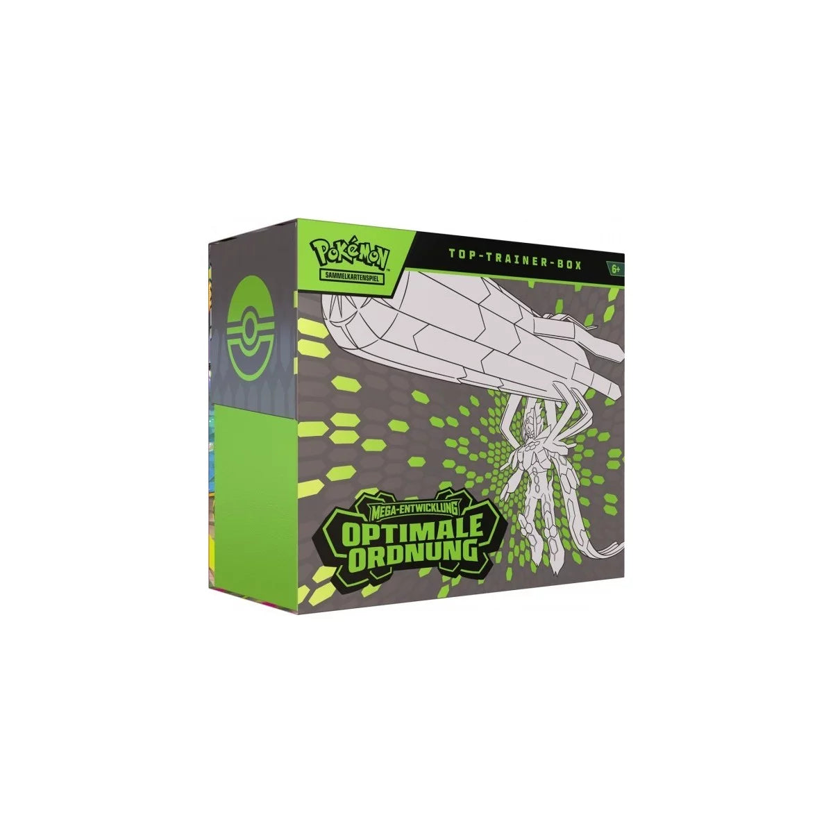 Mega-Entwicklung Optimale Ordnung Top Trainer Box 🇩🇪